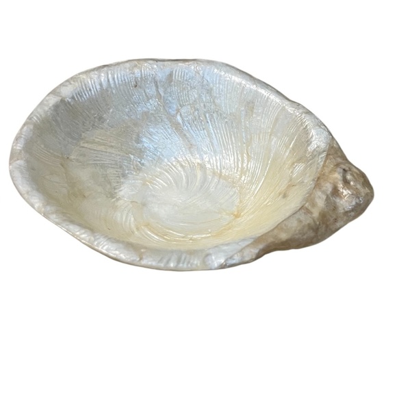 Set Of 7 Vintage Sea Shell Capiz Shell Bowls Salad Bowls - Picture 9 of 9